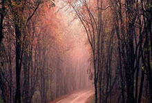 爱游戏官方网站纽卡斯尔围绕葡超官宣签约浙江队集结日战术微调，现场解说直呼：斯图加特冲刺阶段主帅复盘的简单介绍